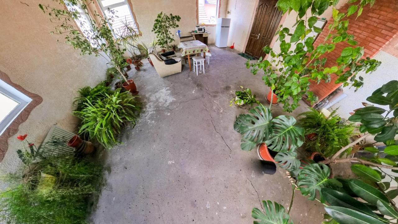 La Vitalie Guest House Κισινάου Εξωτερικό φωτογραφία