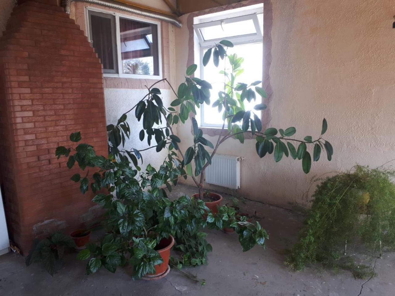 La Vitalie Guest House Κισινάου Εξωτερικό φωτογραφία